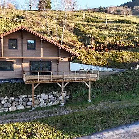 Chalet Le 17 4 Etoiles La Bresse Exterior photo